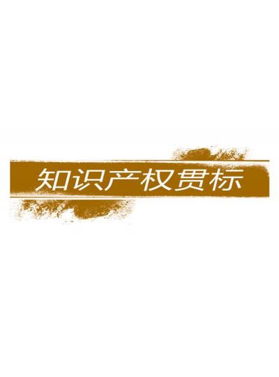 建立和完善知識(shí)產(chǎn)權(quán)對(duì)企業(yè)的重要性【廈門鱟生科已經(jīng)開(kāi)始行動(dòng)了！建立企業(yè)知識(shí)產(chǎn)權(quán)貫標(biāo)體系，樹(shù)立行業(yè)標(biāo)桿！】